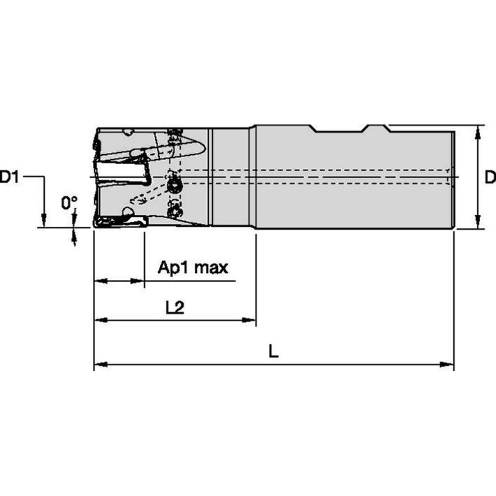 Widia Indexable Square-Shoulder End Mill: VSM490D125Z03W100XN15, 0.5906" Max Depth of Cut, 1" Dia Weldon Flat Shank - 5710591
