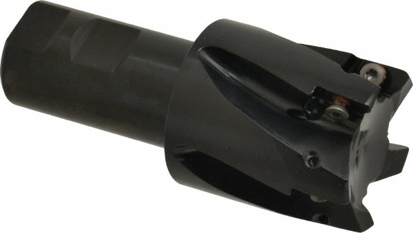 Walter Indexable Square-Shoulder End Mill: M4132.031-W31-03-09, 1-1/4" Cut Dia, 8.4 mm Max Depth of Cut, 1-1/4" Dia Weldon Flat Shank - 6556158