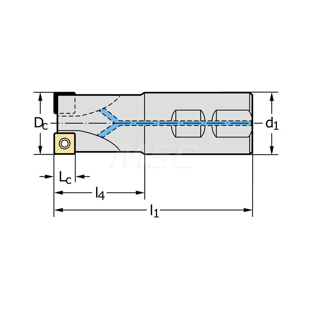 Walter Indexable Square-Shoulder End Mill: M4132.031-W31-03-09, 1-1/4" Cut Dia, 8.4 mm Max Depth of Cut, 1-1/4" Dia Weldon Flat Shank - 6556158
