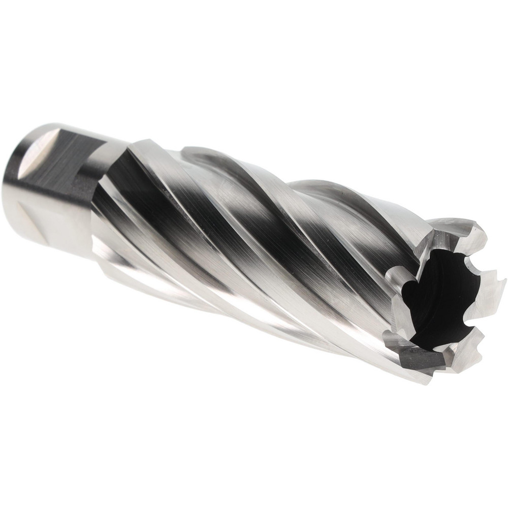 Iscar 1-1/2" Cut Dia, 0.118" Max Depth of Cut, 1-1/4" Shank Dia, Indexable Plunge End Mill - 3105516