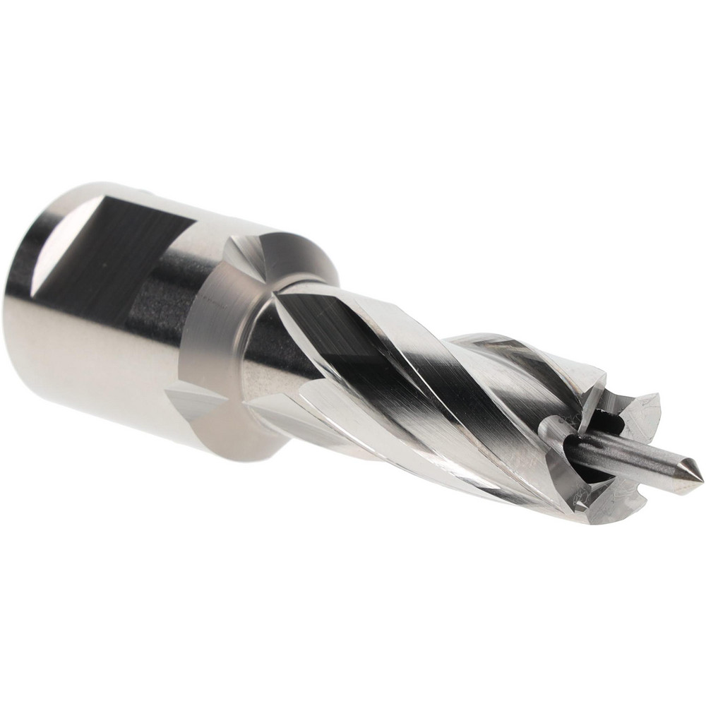 Iscar 1-1/2" Cut Dia, 0.118" Max Depth of Cut, 1-1/4" Shank Dia, Indexable Plunge End Mill - 3105516