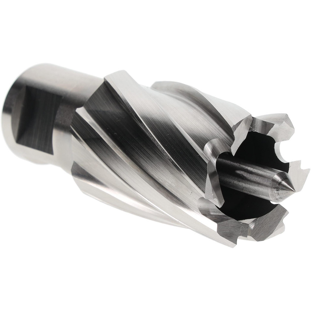 Iscar 1-1/2" Cut Dia, 0.118" Max Depth of Cut, 1-1/4" Shank Dia, Indexable Plunge End Mill - 3105516