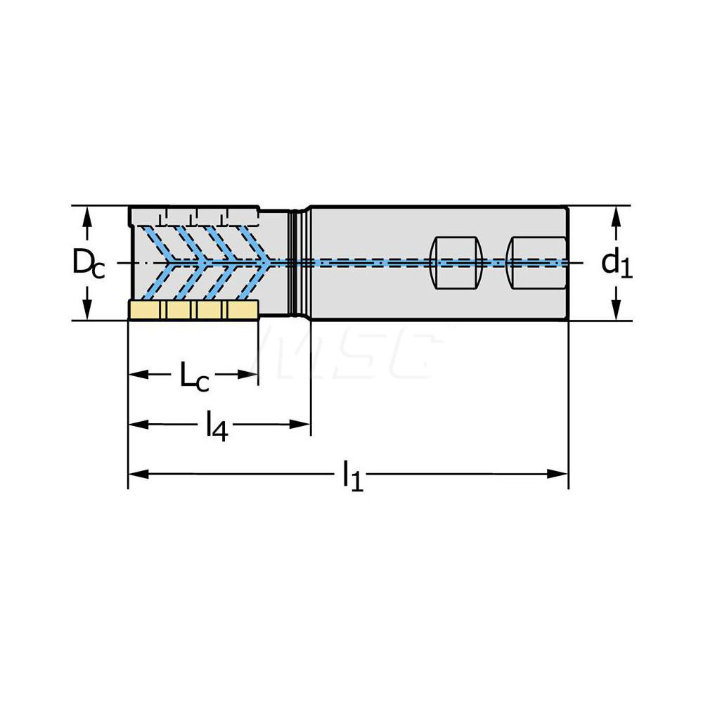 Walter Indexable Square-Shoulder End Mill: F5038.W25.025.Z02.32, 25 mm Cut Dia, 32 mm Max Depth of Cut, 25 mm Dia Weldon Flat Shank - 6515208