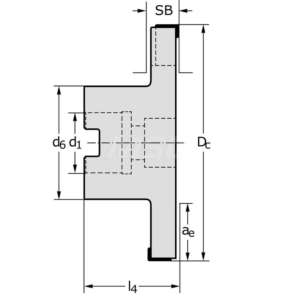 Walter Indexable Slotting Cutter: 16.00 mm Cutting Width, 125.00 mm Cutter Dia - 5159959