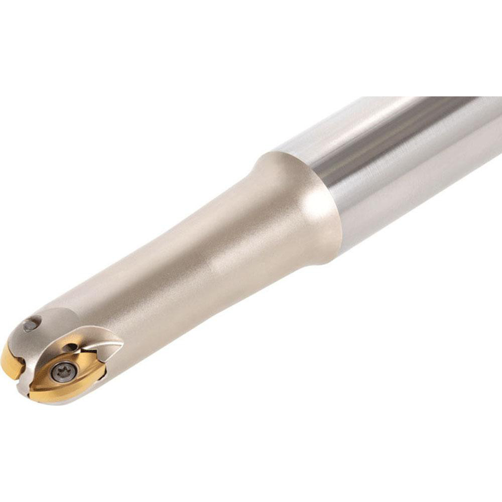 Sandvik Coromant Indexable Ball Nose End Mill: 0.7874" Cut Dia, Steel, 7.874" OAL - 5743665