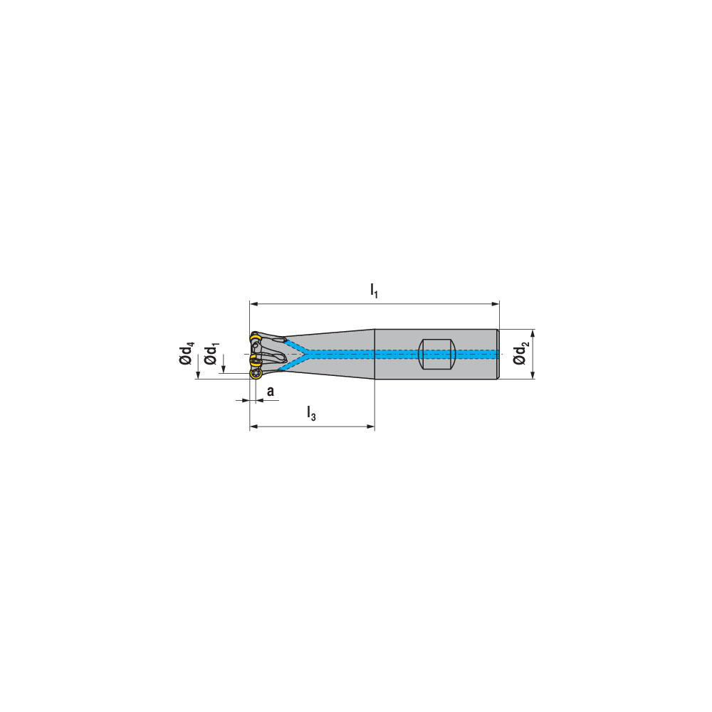 Ceratizit Indexable Ball Nose End Mill: 1.25" Cut Dia, Solid Carbide, 10" OAL - 5868542504