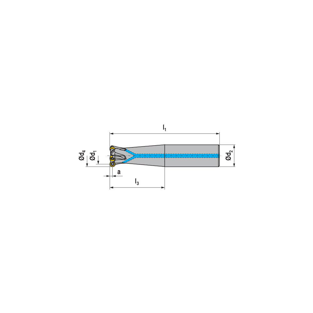 Ceratizit Indexable Ball Nose End Mill: 1.25" Cut Dia, Solid Carbide, 10" OAL - 5868542504