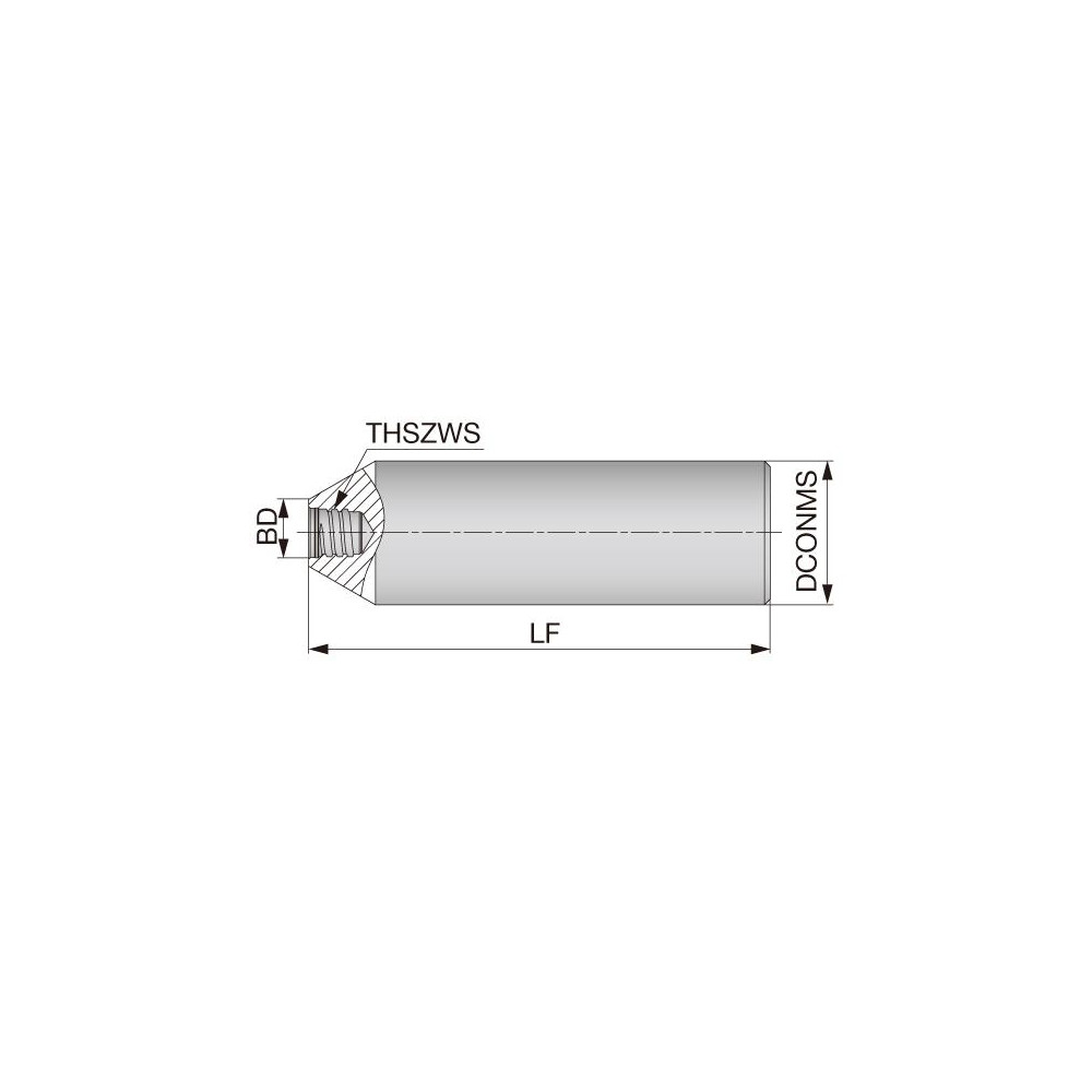 Seco Replaceable Tip Milling Shank: Series 335.14, 45.5 mm Projection, 12 mm Straight Shank - 03042041