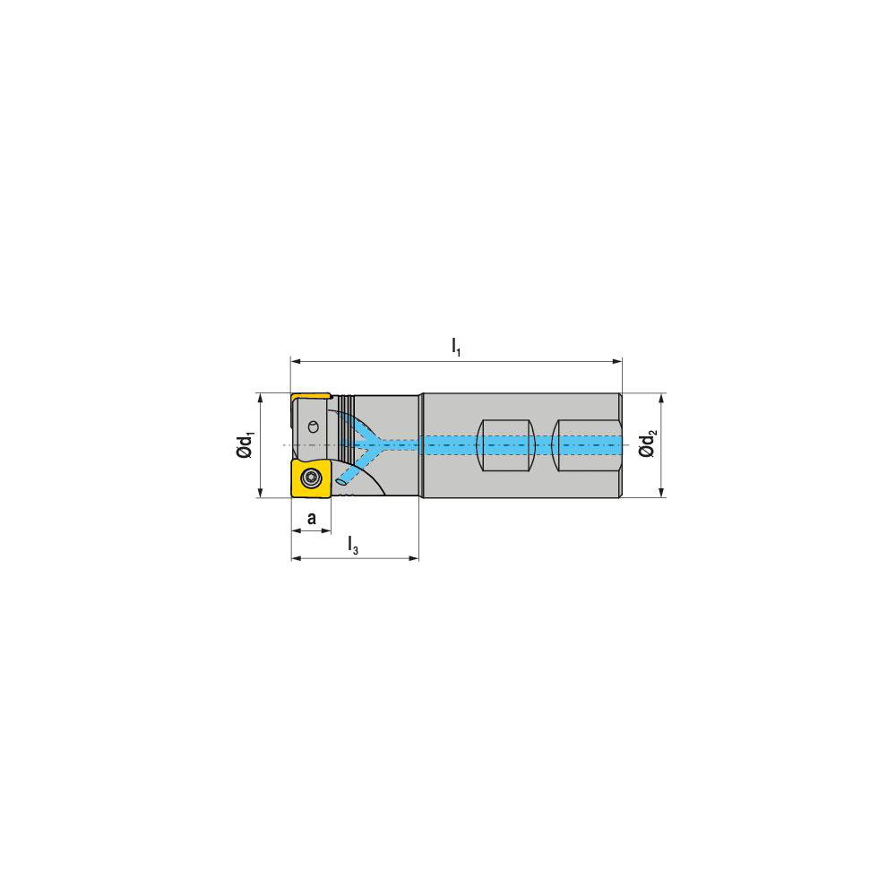 Ceratizit Indexable Square-Shoulder End Mill: C491.125.R.0212B150EF, 1-1/4" Cut Dia, 0.315" Max Depth of Cut, 1-1/4" Dia Weldon Flat Shank - 5877452502