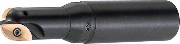 Sumitomo Indexable Ball Nose End Mill: 1" Cut Dia, Steel, 4.796" OAL - 2900W1A