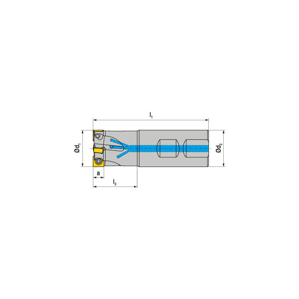 Walter Indexable Square-Shoulder End Mill: M4130-025-W25-04-08, 25 mm Cut Dia, 8 mm Max Depth of Cut, 25 mm Dia Weldon Flat Shank - 6952597