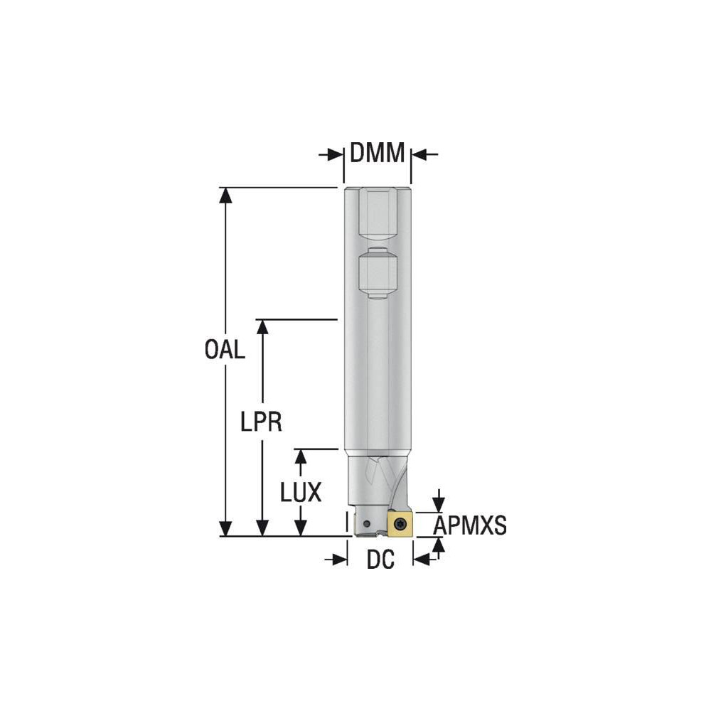 Seco Indexable Square-Shoulder End Mill: R417.19-01.00-3, 1" Cut Dia, 0.31" Max Depth of Cut, 1" Dia Weldon Flat Shank - 75072173