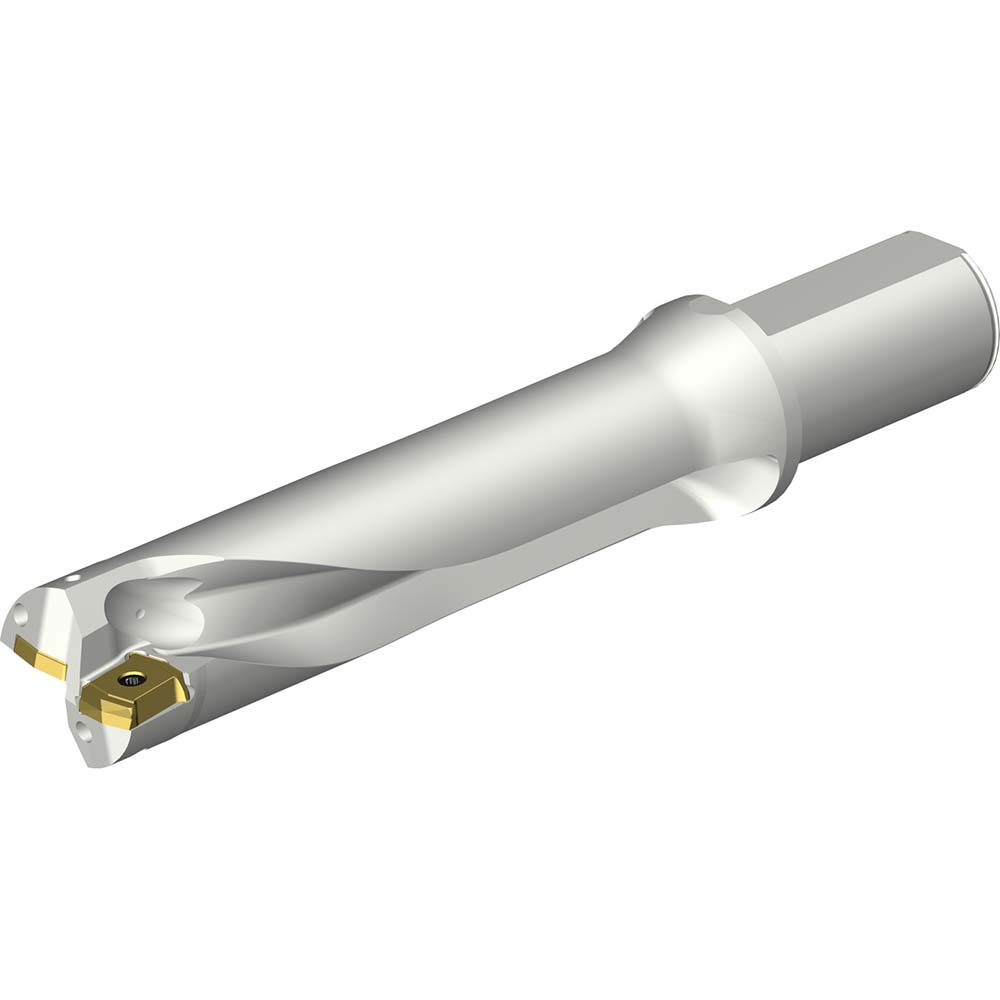 Sandvik Coromant Indexable Insert Drill: DS20-D3967LX38-05, 39.67 mm Max Dia, 199.37 mm Max Depth, 5xD, 38.10 mm Shank Dia - 7548953