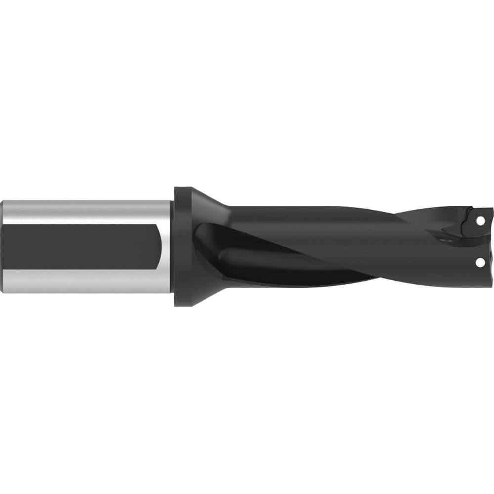 Allied Machine and Engineering Indexable Insert Drill: D3092950M-125F, 29.50 mm Max Dia, 3xD - D3092950M-125F