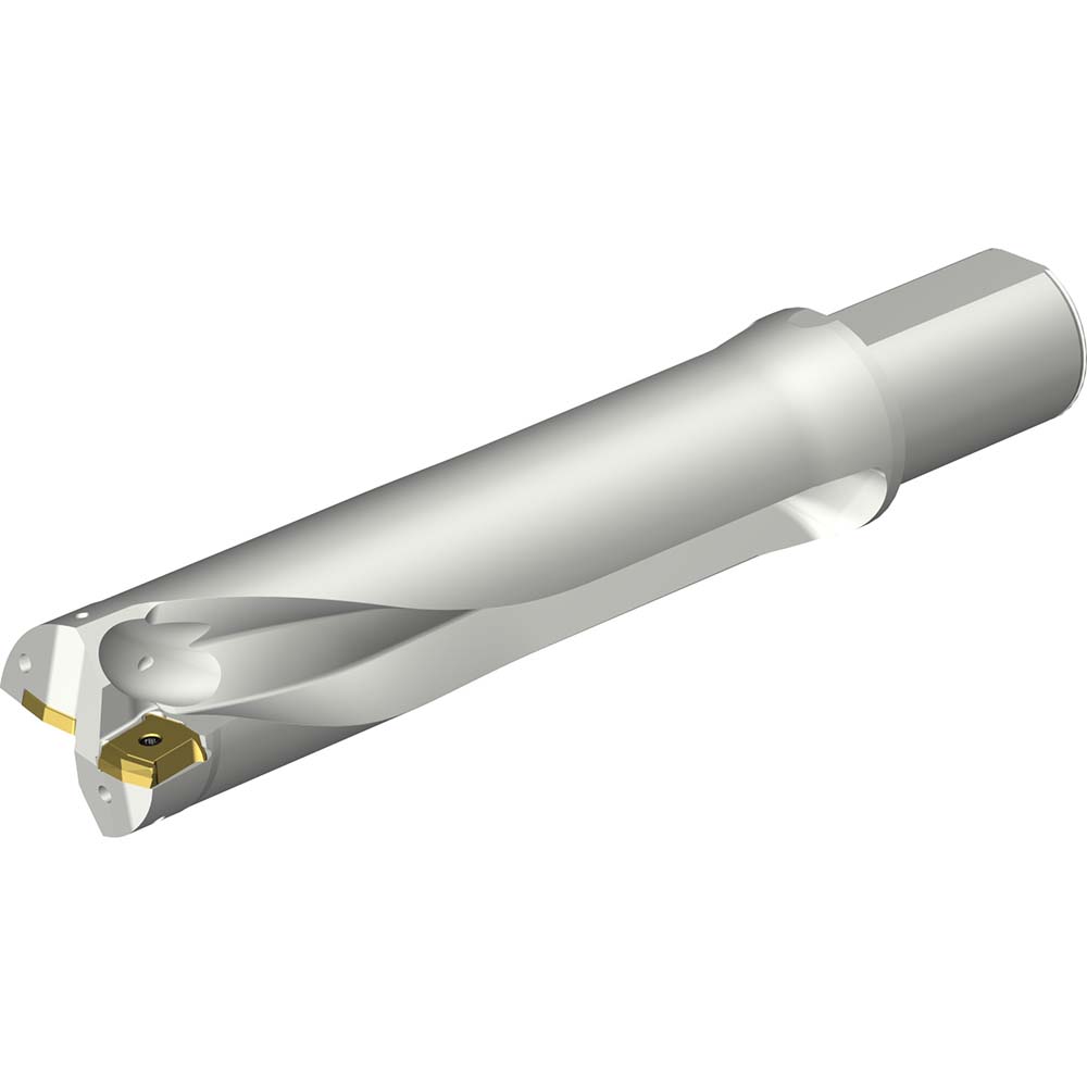Sandvik Coromant Indexable Insert Drill: DS20-D5900DM50-04, 59.00 mm Max Dia, 237.59 mm Max Depth, 4xD, 50.00 mm Shank Dia - 7790744