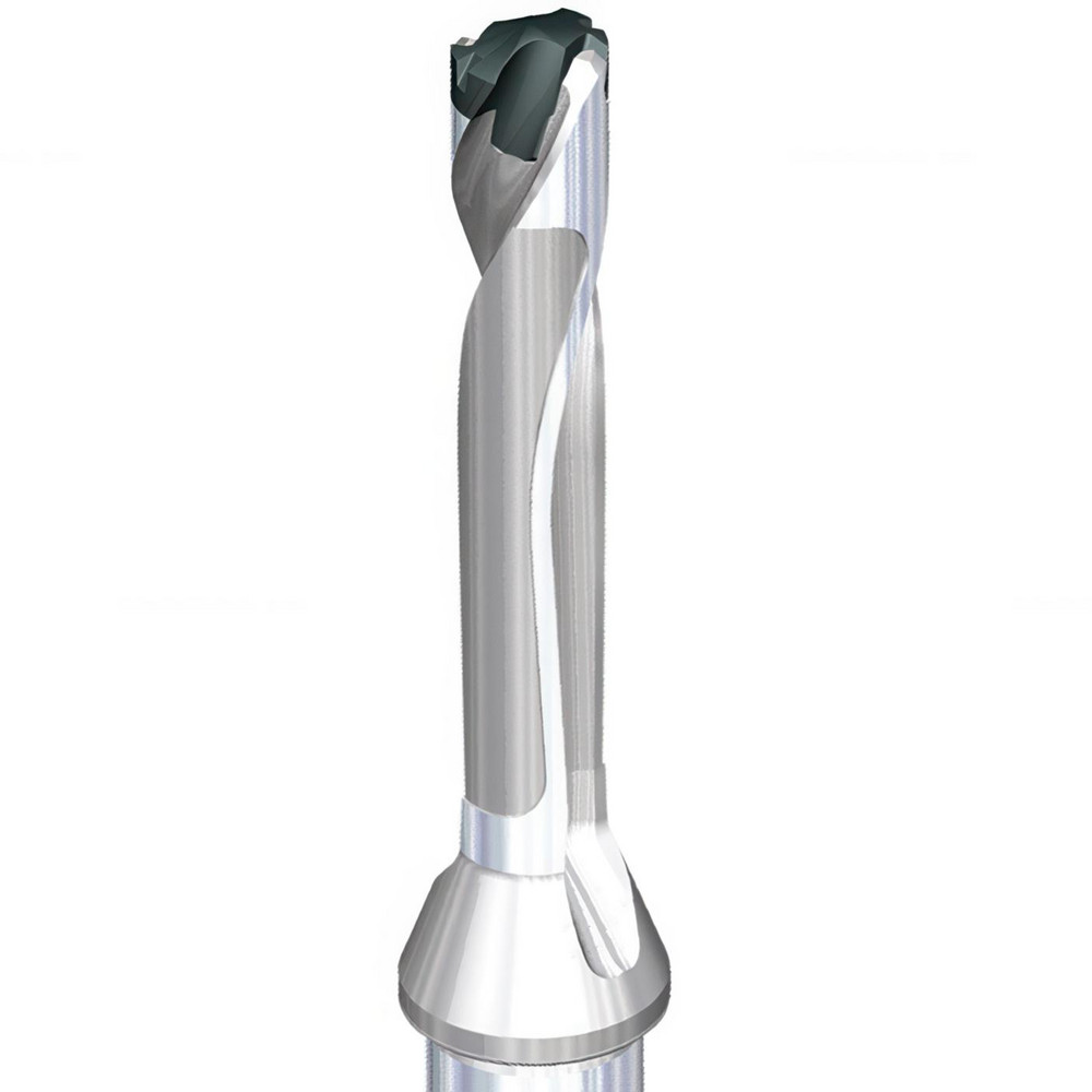 Widia Replaceable-Tip Drill: 17 to 17.99 mm Dia, 90 mm Max Depth, 20 mm Flatted Shank - 3850947