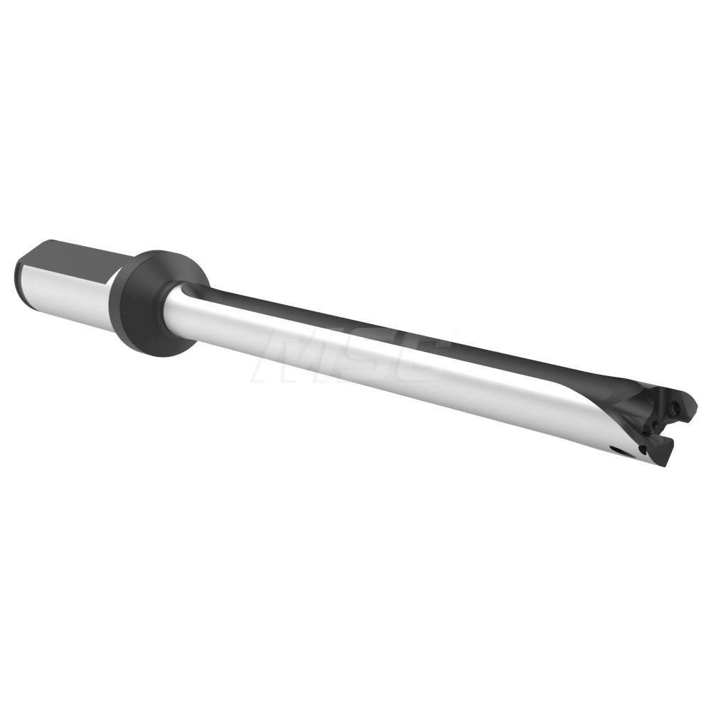 Allied Machine and Engineering Spade Drill: 12.00 to 12.99 mm Dia, 90.90 mm Max Depth, Straight Flute - 60712S-20FM