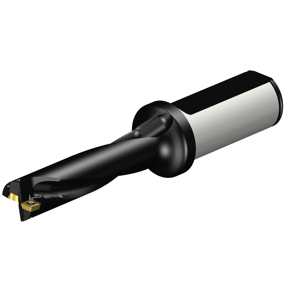 Sandvik Coromant Indexable Insert Drill: DS20-D1745LX25-05, 17.45 mm Max Dia, 87.71 mm Max Depth, 5xD, 25.40 mm Shank Dia - 7548809
