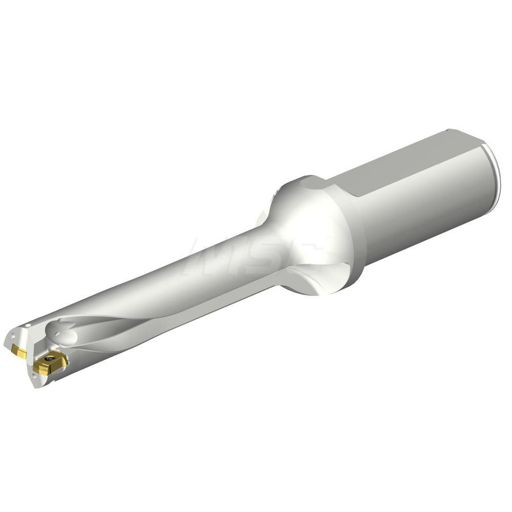 Sandvik Coromant Indexable Insert Drill: DS20-D1745LX25-05, 17.45 mm Max Dia, 87.71 mm Max Depth, 5xD, 25.40 mm Shank Dia - 7548809