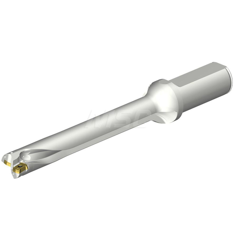 Sandvik Coromant Indexable Insert Drill: DS20-D1745LX25-05, 17.45 mm Max Dia, 87.71 mm Max Depth, 5xD, 25.40 mm Shank Dia - 7548809