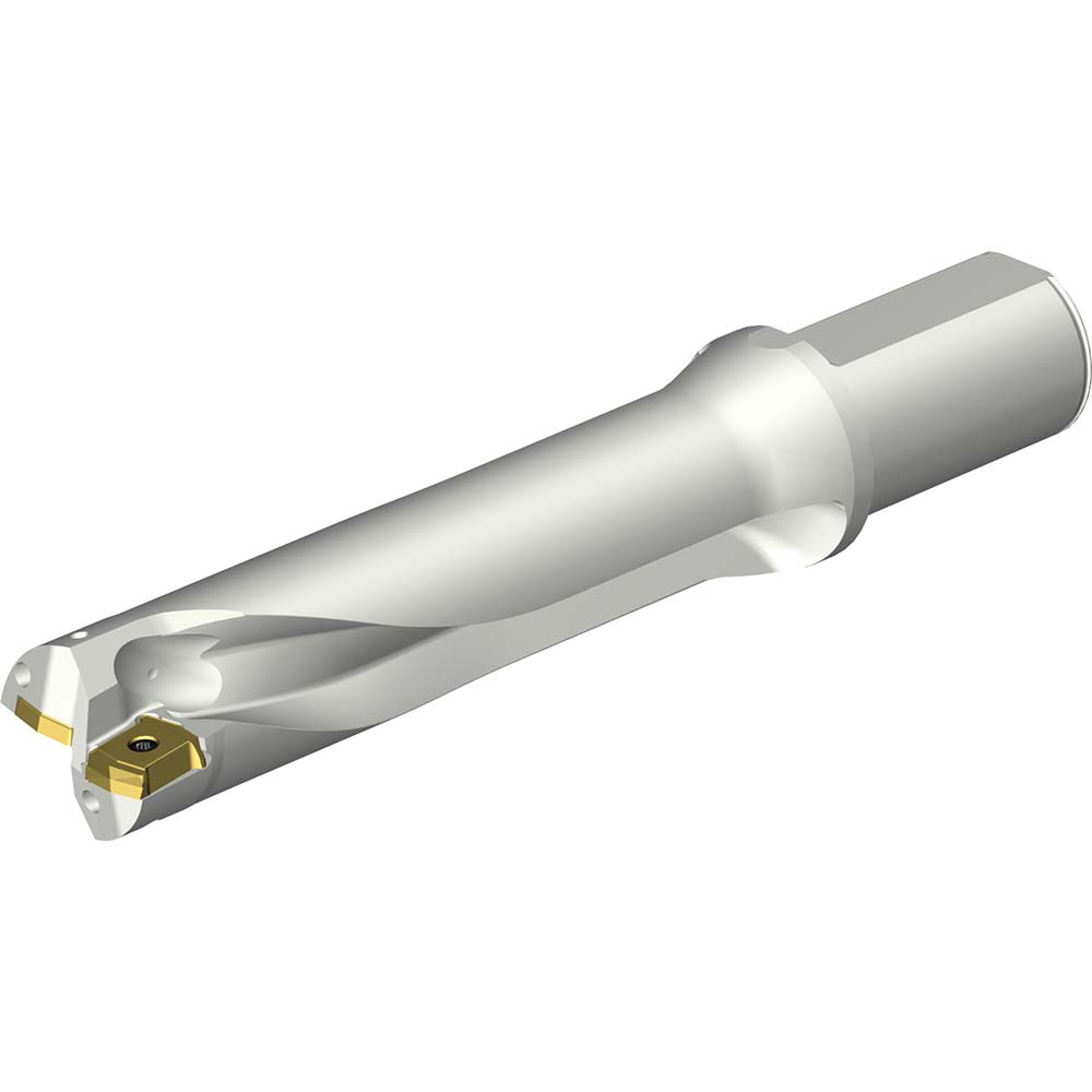 Sandvik Coromant Indexable Insert Drill: DS20-D4100DM40-04, 41.00 mm Max Dia, 165.28 mm Max Depth, 4xD, 40.00 mm Shank Dia - 7790726