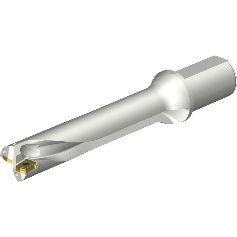 Sandvik Coromant Indexable Insert Drill: DS20-D4200L50-04, 42.00 mm Max Dia, 169.28 mm Max Depth, 4xD, 50.00 mm Shank Dia - 7548968