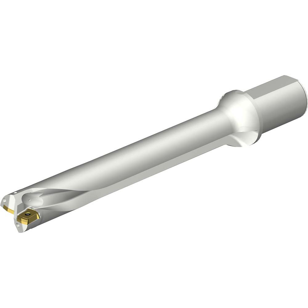 Sandvik Coromant Indexable Insert Drill: DS20-D4200L50-04, 42.00 mm Max Dia, 169.28 mm Max Depth, 4xD, 50.00 mm Shank Dia - 7548968