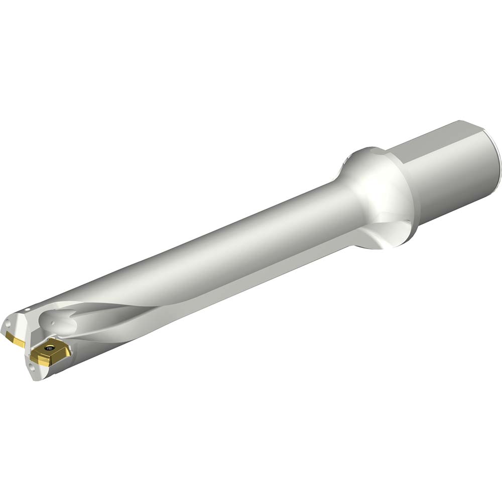 Sandvik Coromant Indexable Insert Drill: DS20-D4200L50-04, 42.00 mm Max Dia, 169.28 mm Max Depth, 4xD, 50.00 mm Shank Dia - 7548968