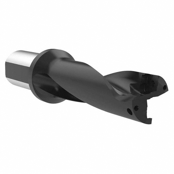 Sandvik Coromant Indexable Insert Drill: DS20-D4200L50-04, 42.00 mm Max Dia, 169.28 mm Max Depth, 4xD, 50.00 mm Shank Dia - 7548968