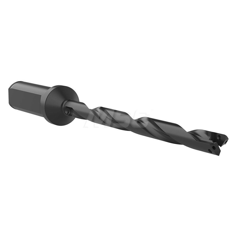 Allied Machine and Engineering Spade Drill: 3/8 to 27/64" Dia, 2-3/8" Max Depth, Straight Flute - 240Y0S-075F