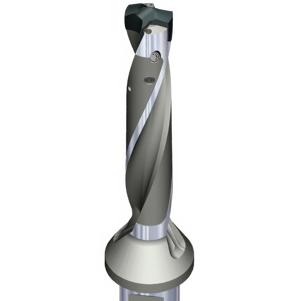 Widia Replaceable-Tip Drill: 0.7875 to 0.8267" Dia, 4.1339" Max Depth, 1" Flatted Shank - 6572231