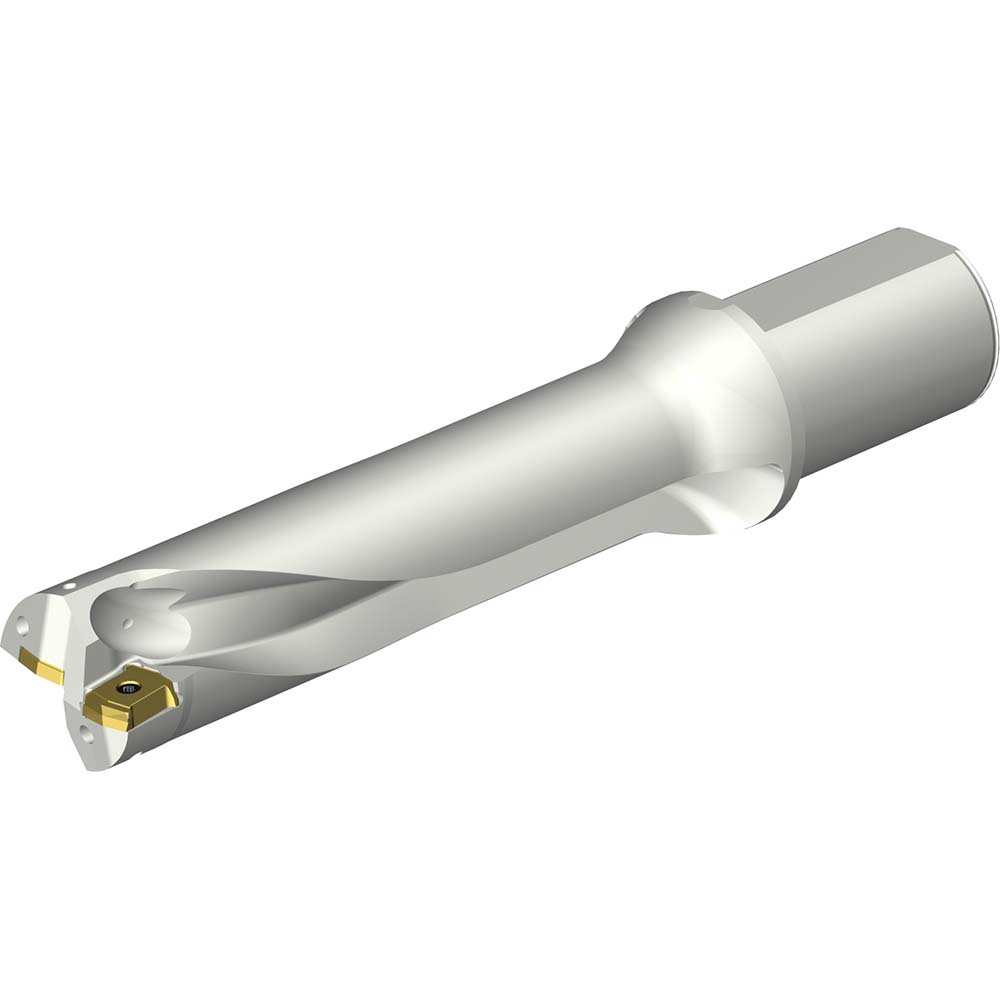 Sandvik Coromant Indexable Insert Drill: DS20-D4700DM50-04, 47.00 mm Max Dia, 189.28 mm Max Depth, 4xD, 50.00 mm Shank Dia - 7790732