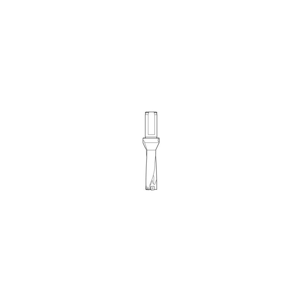 Seco Indexable Insert Drill: SD522-0984-197-1250R7, 25.99 mm Max Dia, 50.04 mm Max Depth, 2xD - 03080724