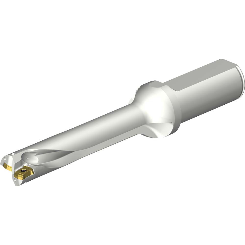 Sandvik Coromant Indexable Insert Drill: DS20-D1850L25-04, 18.50 mm Max Dia, 74.56 mm Max Depth, 4xD, 25.00 mm Shank Dia - 8009513