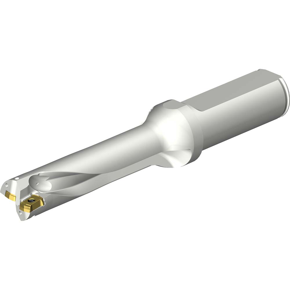 Sandvik Coromant Indexable Insert Drill: DS20-D1700L20-06, 17.00 mm Max Dia, 102.46 mm Max Depth, 6xD, 20.00 mm Shank Dia - 7548806
