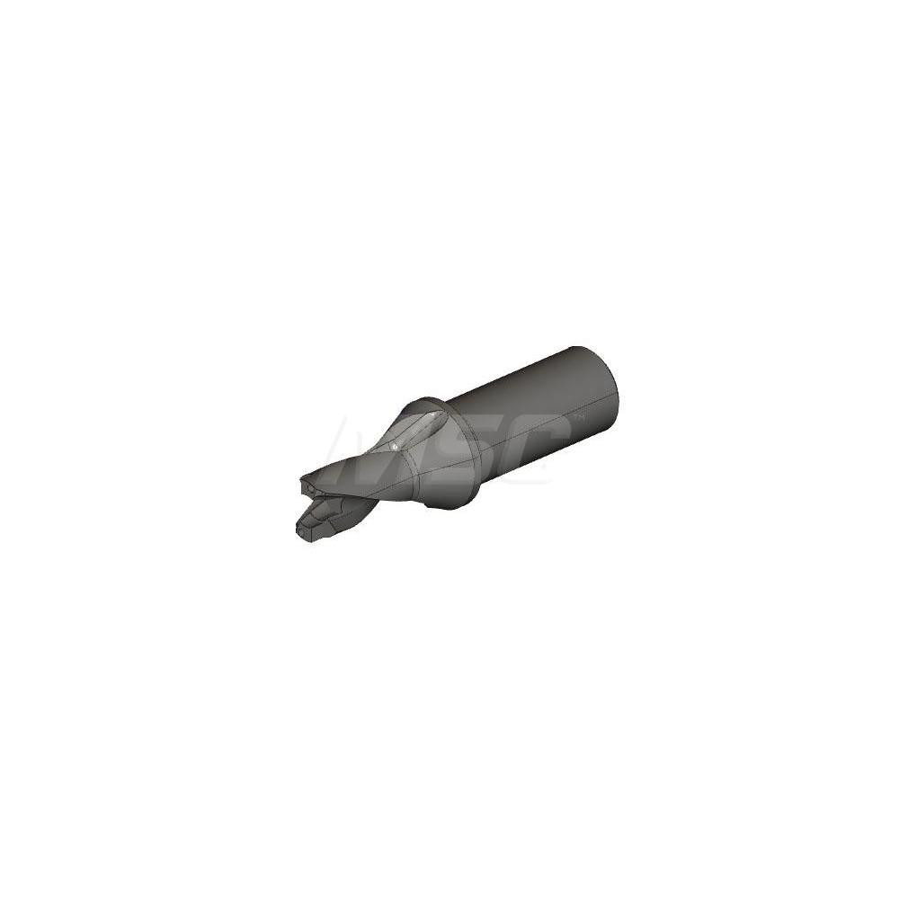 Ingersoll Cutting Tools Replaceable-Tip Drill: 19 to 19.9 mm Dia, 61 mm Max Depth, 25 mm Cylindrical Shank - 6334325