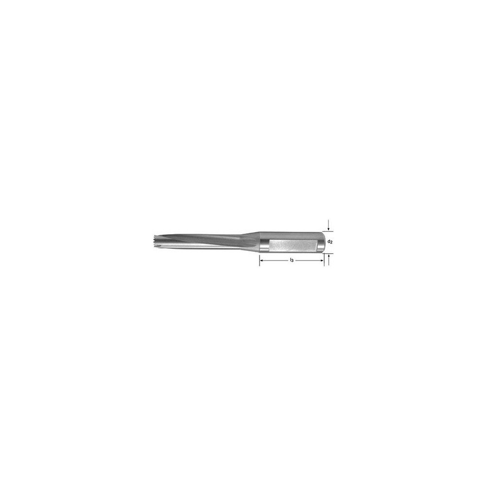 Dormer Pramet Replaceable-Tip Drill: 18.6 to 19.5 mm Dia, 25.4 mm Weldon Flat Shank - 5988766