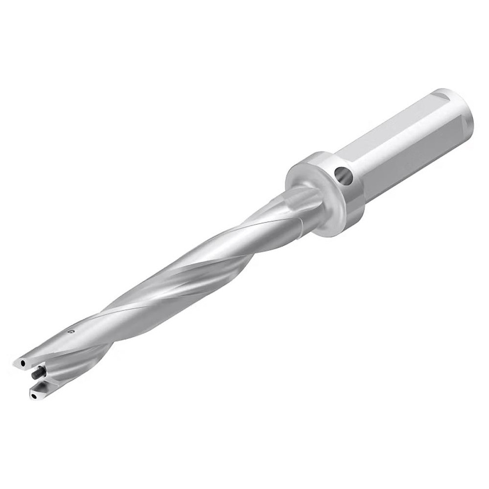 Dormer Pramet Replaceable-Tip Drill: 18.6 to 19.5 mm Dia, 25.4 mm Weldon Flat Shank - 5988766