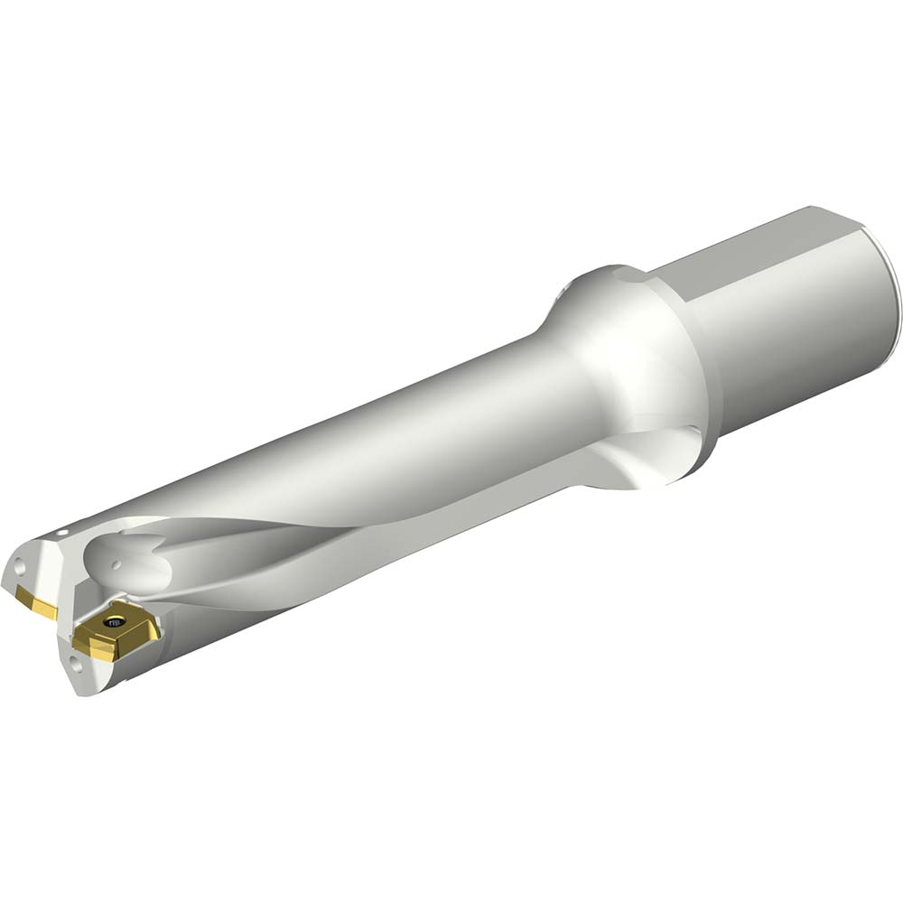 Sandvik Coromant Indexable Insert Drill: DS20-D4500DM50-04, 45.00 mm Max Dia, 181.28 mm Max Depth, 4xD, 50.00 mm Shank Dia - 7790730