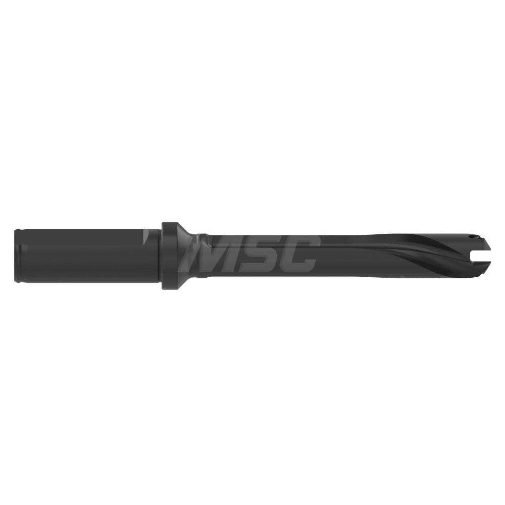 Allied Machine and Engineering Spade Drill: 0.6299 to 0.6692" Dia, Straight Flute - 60516S-075F