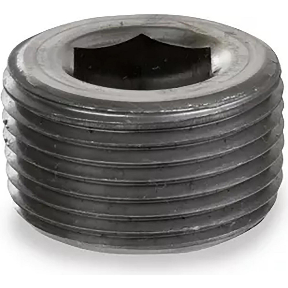 USA Industrials Black Hex Socket Plug: 1/4", NPT - ZUSA-PF-20223
