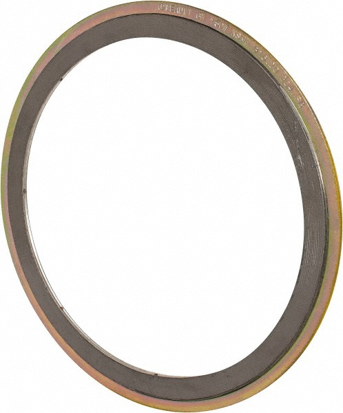 Value Collection Flange Gasket: For 6" Pipe, Carbon Steel & Stainless Steel - 3194802