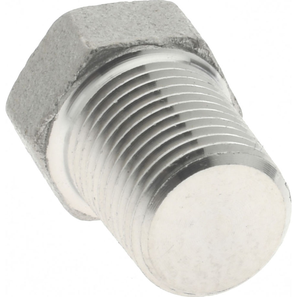 Merit Brass Pipe Hex Plug: 1/8", 316 Stainless Steel - K617H-02