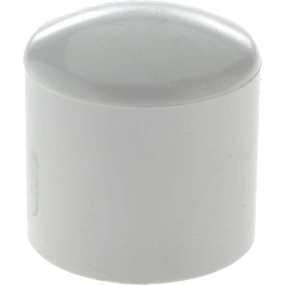 Merit Brass Pipe End Cap: 3/4", 316 Stainless Steel - K616-12