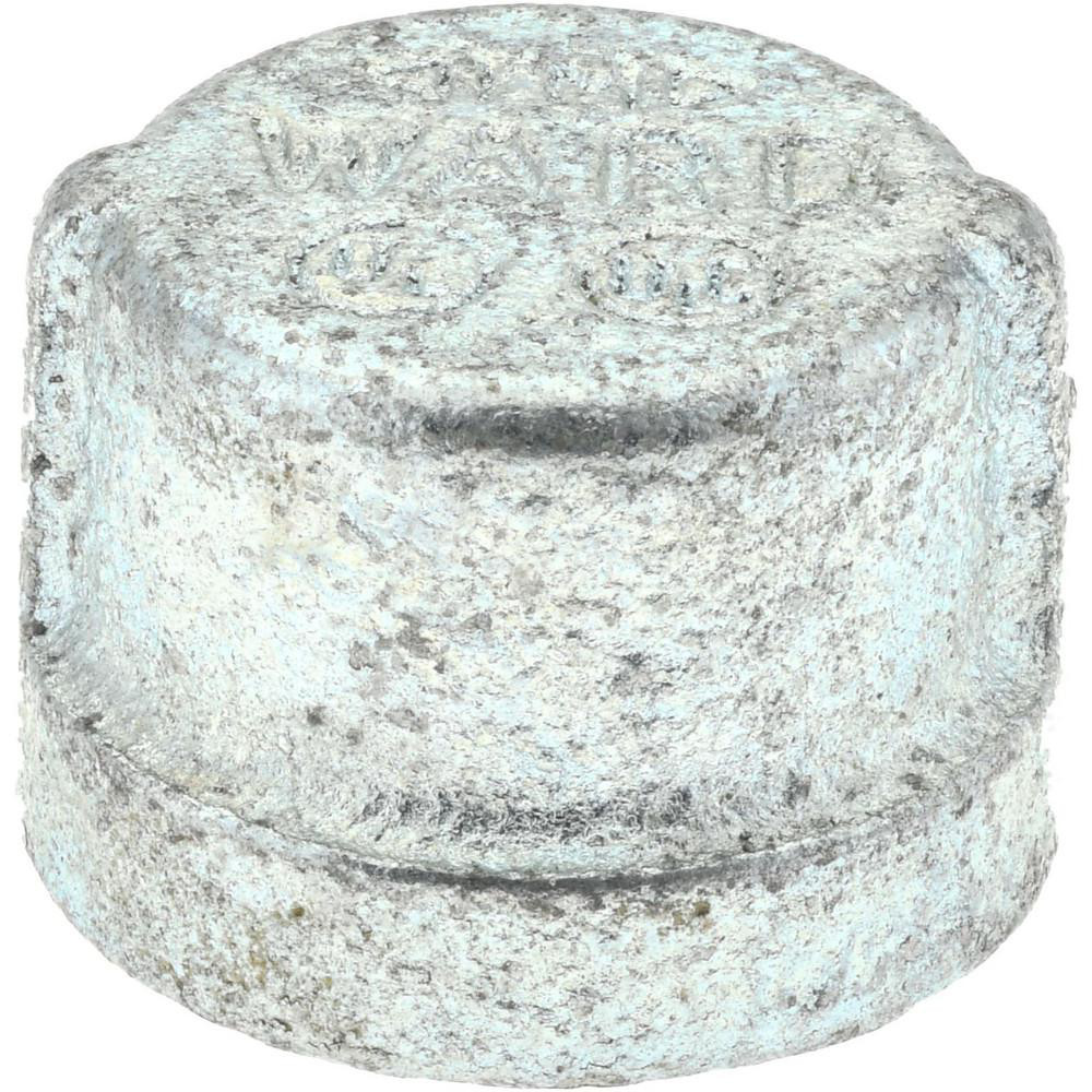 Merit Brass Pipe End Cap: 3/4", 316 Stainless Steel - K616-12