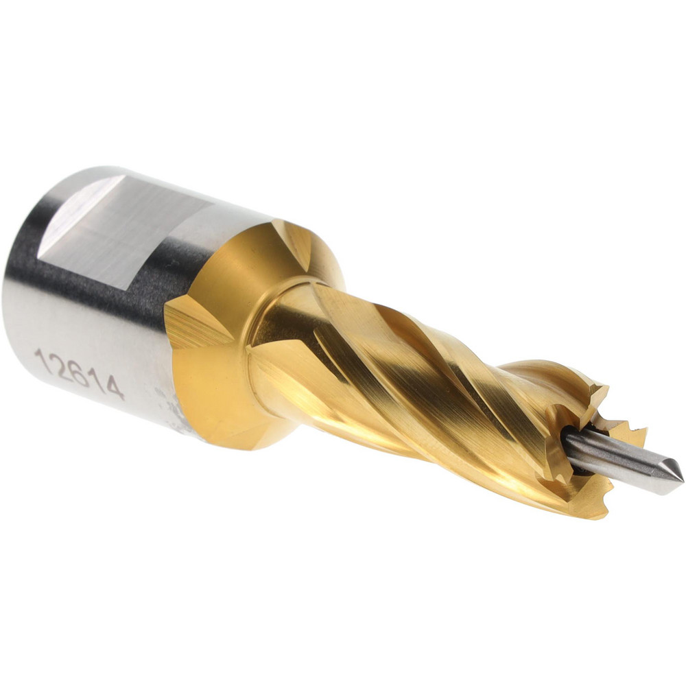 Merit Brass Pipe End Cap: 1", 304 Stainless Steel - K416-16