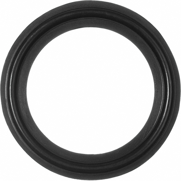 VNE Sanitary Tube Gasket: Buna-N, 2" OD - EG402.0