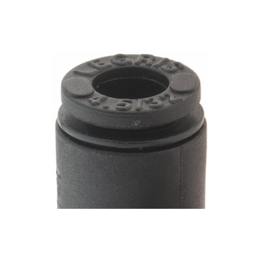 Legris Push-to-Connect Fitting: Female Elbow, NPT, 5/32" OD - 3009 04 11