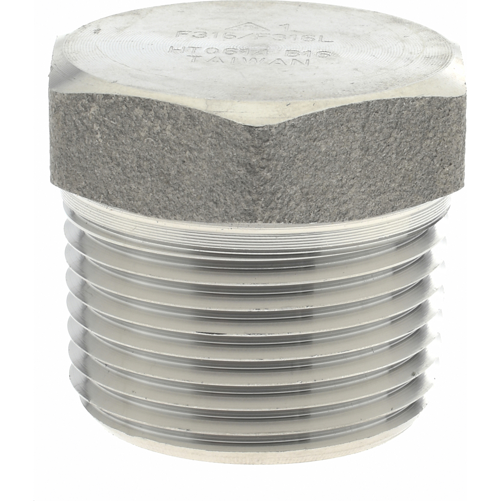 Merit Brass Pipe Hex Plug: 1/8", 316 & 316L Stainless Steel - 3617HD-02