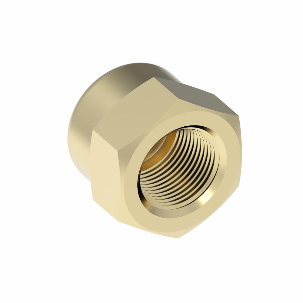 Eaton Industrial Pipe End Cap: 1/4" Female Thread, FNPTF - 3129X4